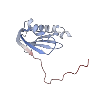 21030_6v39_k_v1-0
Cryo-EM structure of the Acinetobacter baumannii Ribosome: 70S with P-site tRNA