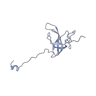 21030_6v39_l_v1-0
Cryo-EM structure of the Acinetobacter baumannii Ribosome: 70S with P-site tRNA