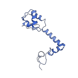 21030_6v39_m_v1-0
Cryo-EM structure of the Acinetobacter baumannii Ribosome: 70S with P-site tRNA