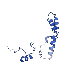 21030_6v39_n_v1-0
Cryo-EM structure of the Acinetobacter baumannii Ribosome: 70S with P-site tRNA