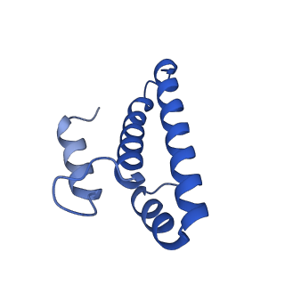 21030_6v39_o_v1-0
Cryo-EM structure of the Acinetobacter baumannii Ribosome: 70S with P-site tRNA
