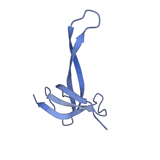 21030_6v39_q_v1-0
Cryo-EM structure of the Acinetobacter baumannii Ribosome: 70S with P-site tRNA