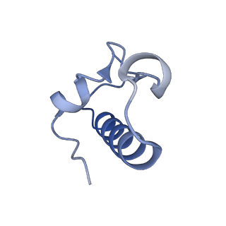 21030_6v39_r_v1-0
Cryo-EM structure of the Acinetobacter baumannii Ribosome: 70S with P-site tRNA