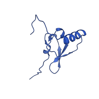 21030_6v39_s_v1-0
Cryo-EM structure of the Acinetobacter baumannii Ribosome: 70S with P-site tRNA