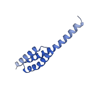 21030_6v39_t_v1-0
Cryo-EM structure of the Acinetobacter baumannii Ribosome: 70S with P-site tRNA