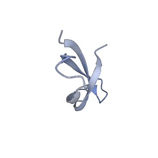 21031_6v3a_0_v1-0
Cryo-EM structure of the Acinetobacter baumannii Ribosome: 70S with E-site tRNA