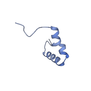 21031_6v3a_1_v1-0
Cryo-EM structure of the Acinetobacter baumannii Ribosome: 70S with E-site tRNA