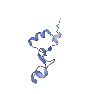 21031_6v3a_2_v1-0
Cryo-EM structure of the Acinetobacter baumannii Ribosome: 70S with E-site tRNA
