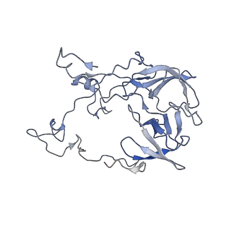 21031_6v3a_C_v1-0
Cryo-EM structure of the Acinetobacter baumannii Ribosome: 70S with E-site tRNA