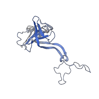 21031_6v3a_D_v1-0
Cryo-EM structure of the Acinetobacter baumannii Ribosome: 70S with E-site tRNA