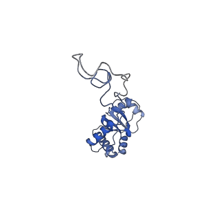 21031_6v3a_E_v1-0
Cryo-EM structure of the Acinetobacter baumannii Ribosome: 70S with E-site tRNA