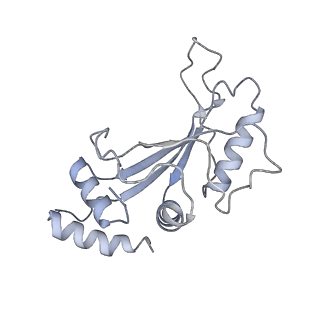 21031_6v3a_F_v1-0
Cryo-EM structure of the Acinetobacter baumannii Ribosome: 70S with E-site tRNA