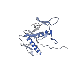 21031_6v3a_G_v1-0
Cryo-EM structure of the Acinetobacter baumannii Ribosome: 70S with E-site tRNA
