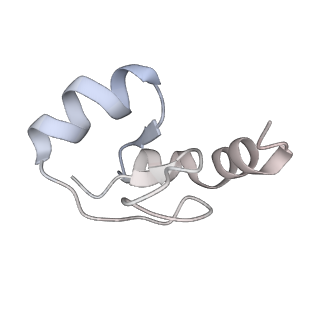21031_6v3a_H_v1-0
Cryo-EM structure of the Acinetobacter baumannii Ribosome: 70S with E-site tRNA