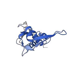 21031_6v3a_I_v1-0
Cryo-EM structure of the Acinetobacter baumannii Ribosome: 70S with E-site tRNA