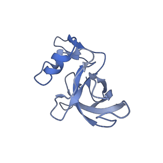 21031_6v3a_J_v1-0
Cryo-EM structure of the Acinetobacter baumannii Ribosome: 70S with E-site tRNA