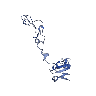 21031_6v3a_K_v1-0
Cryo-EM structure of the Acinetobacter baumannii Ribosome: 70S with E-site tRNA