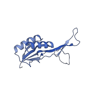 21031_6v3a_L_v1-0
Cryo-EM structure of the Acinetobacter baumannii Ribosome: 70S with E-site tRNA