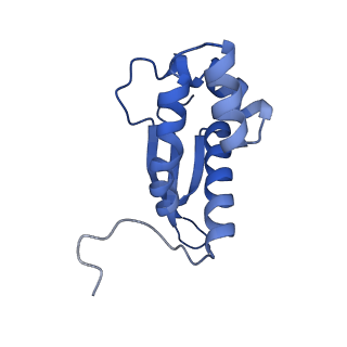 21031_6v3a_M_v1-0
Cryo-EM structure of the Acinetobacter baumannii Ribosome: 70S with E-site tRNA