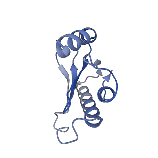21031_6v3a_N_v1-0
Cryo-EM structure of the Acinetobacter baumannii Ribosome: 70S with E-site tRNA