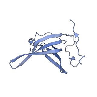 21031_6v3a_O_v1-0
Cryo-EM structure of the Acinetobacter baumannii Ribosome: 70S with E-site tRNA