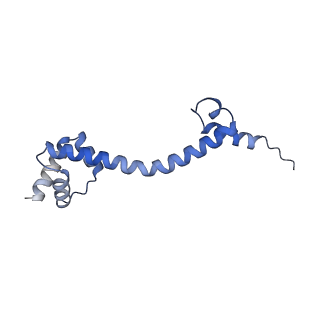21031_6v3a_P_v1-0
Cryo-EM structure of the Acinetobacter baumannii Ribosome: 70S with E-site tRNA
