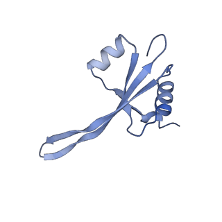 21031_6v3a_S_v1-0
Cryo-EM structure of the Acinetobacter baumannii Ribosome: 70S with E-site tRNA