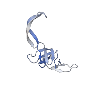 21031_6v3a_T_v1-0
Cryo-EM structure of the Acinetobacter baumannii Ribosome: 70S with E-site tRNA