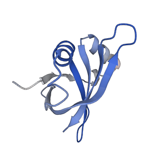 21031_6v3a_U_v1-0
Cryo-EM structure of the Acinetobacter baumannii Ribosome: 70S with E-site tRNA