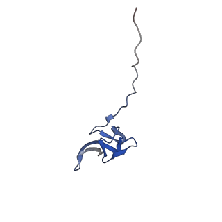 21031_6v3a_V_v1-0
Cryo-EM structure of the Acinetobacter baumannii Ribosome: 70S with E-site tRNA
