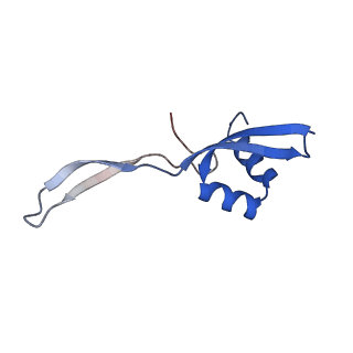 21031_6v3a_W_v1-0
Cryo-EM structure of the Acinetobacter baumannii Ribosome: 70S with E-site tRNA