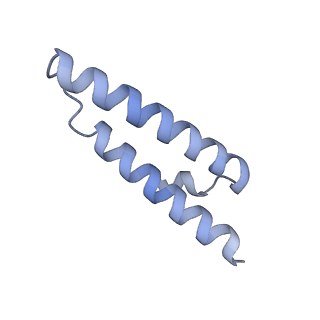 21031_6v3a_X_v1-0
Cryo-EM structure of the Acinetobacter baumannii Ribosome: 70S with E-site tRNA