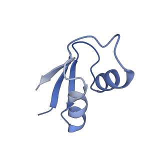 21031_6v3a_Y_v1-0
Cryo-EM structure of the Acinetobacter baumannii Ribosome: 70S with E-site tRNA