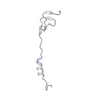 21031_6v3a_Z_v1-0
Cryo-EM structure of the Acinetobacter baumannii Ribosome: 70S with E-site tRNA