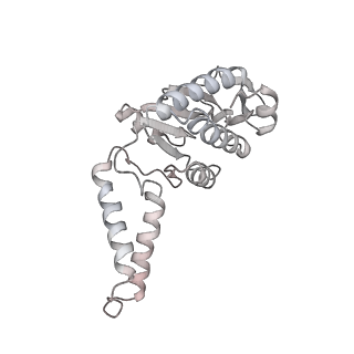 21031_6v3a_b_v1-0
Cryo-EM structure of the Acinetobacter baumannii Ribosome: 70S with E-site tRNA
