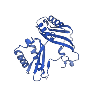 21031_6v3a_c_v1-0
Cryo-EM structure of the Acinetobacter baumannii Ribosome: 70S with E-site tRNA