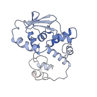 21031_6v3a_d_v1-0
Cryo-EM structure of the Acinetobacter baumannii Ribosome: 70S with E-site tRNA