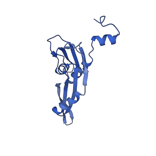 21031_6v3a_e_v1-0
Cryo-EM structure of the Acinetobacter baumannii Ribosome: 70S with E-site tRNA