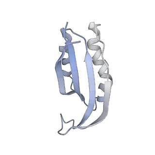 21031_6v3a_f_v1-0
Cryo-EM structure of the Acinetobacter baumannii Ribosome: 70S with E-site tRNA