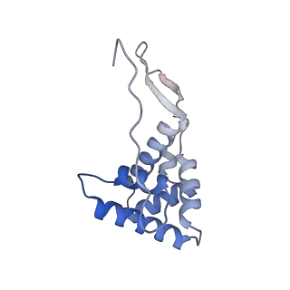 21031_6v3a_g_v1-0
Cryo-EM structure of the Acinetobacter baumannii Ribosome: 70S with E-site tRNA