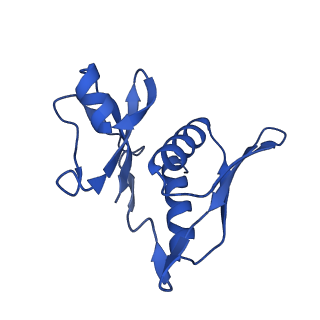 21031_6v3a_h_v1-0
Cryo-EM structure of the Acinetobacter baumannii Ribosome: 70S with E-site tRNA