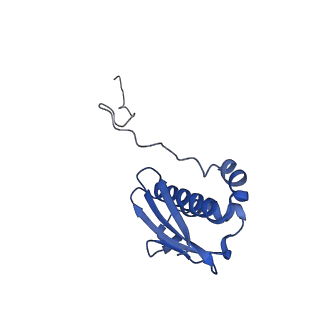 21031_6v3a_i_v1-0
Cryo-EM structure of the Acinetobacter baumannii Ribosome: 70S with E-site tRNA
