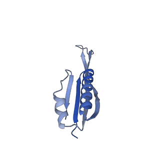 21031_6v3a_j_v1-0
Cryo-EM structure of the Acinetobacter baumannii Ribosome: 70S with E-site tRNA