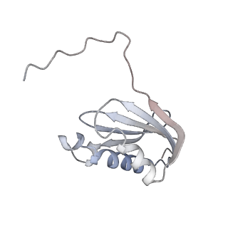 21031_6v3a_k_v1-0
Cryo-EM structure of the Acinetobacter baumannii Ribosome: 70S with E-site tRNA