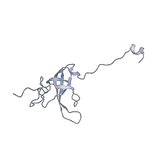 21031_6v3a_l_v1-0
Cryo-EM structure of the Acinetobacter baumannii Ribosome: 70S with E-site tRNA