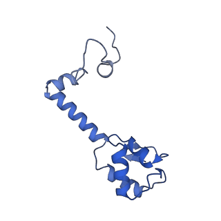 21031_6v3a_m_v1-0
Cryo-EM structure of the Acinetobacter baumannii Ribosome: 70S with E-site tRNA