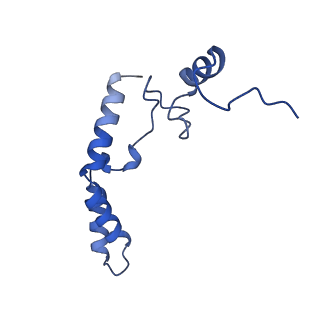21031_6v3a_n_v1-0
Cryo-EM structure of the Acinetobacter baumannii Ribosome: 70S with E-site tRNA