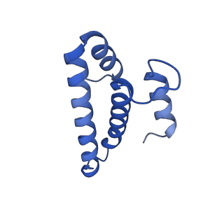 21031_6v3a_o_v1-0
Cryo-EM structure of the Acinetobacter baumannii Ribosome: 70S with E-site tRNA