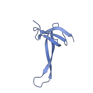 21031_6v3a_q_v1-0
Cryo-EM structure of the Acinetobacter baumannii Ribosome: 70S with E-site tRNA