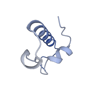 21031_6v3a_r_v1-0
Cryo-EM structure of the Acinetobacter baumannii Ribosome: 70S with E-site tRNA